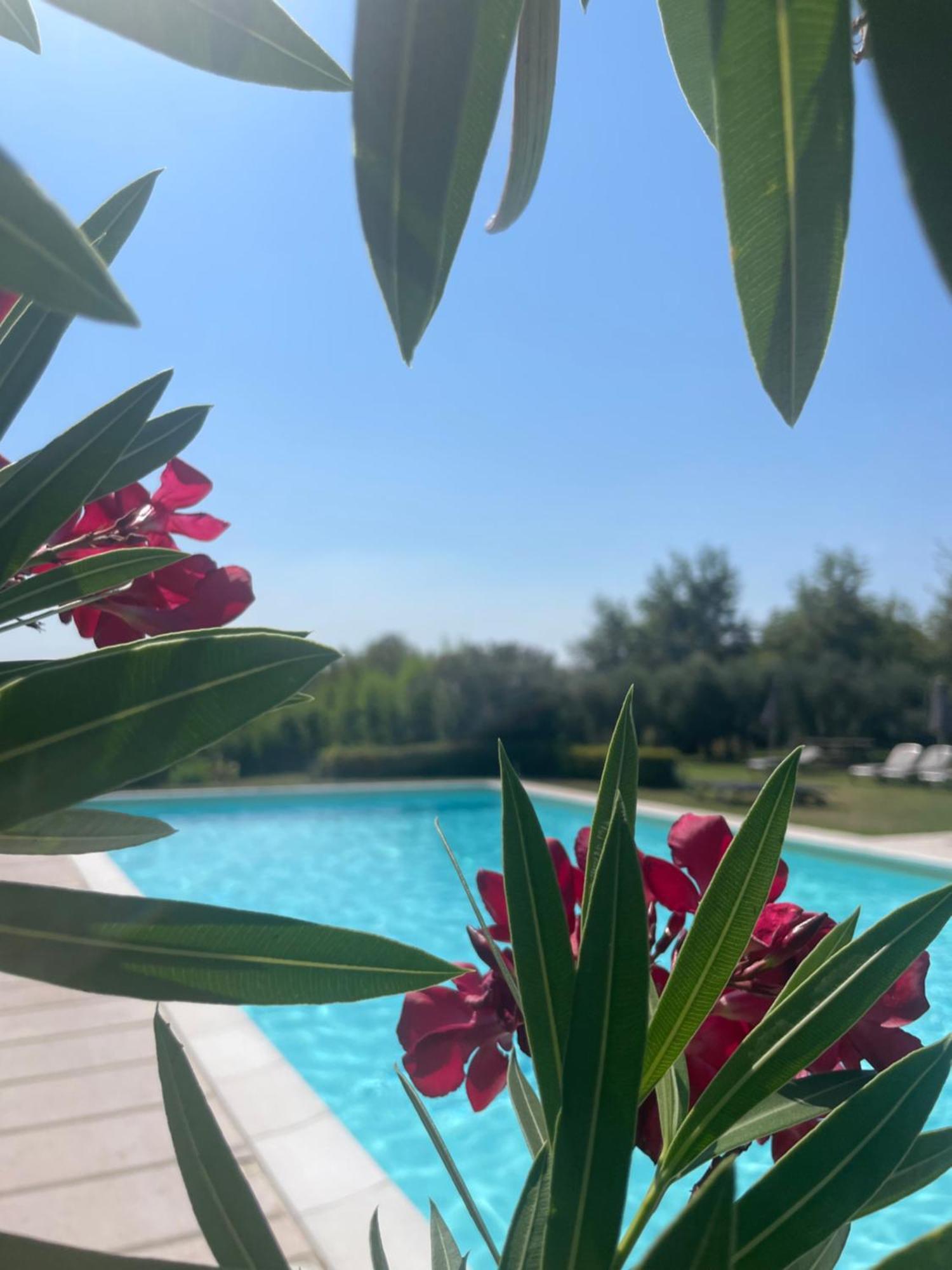 Agriturismo Antica Dimora Del Turco Сона Экстерьер фото